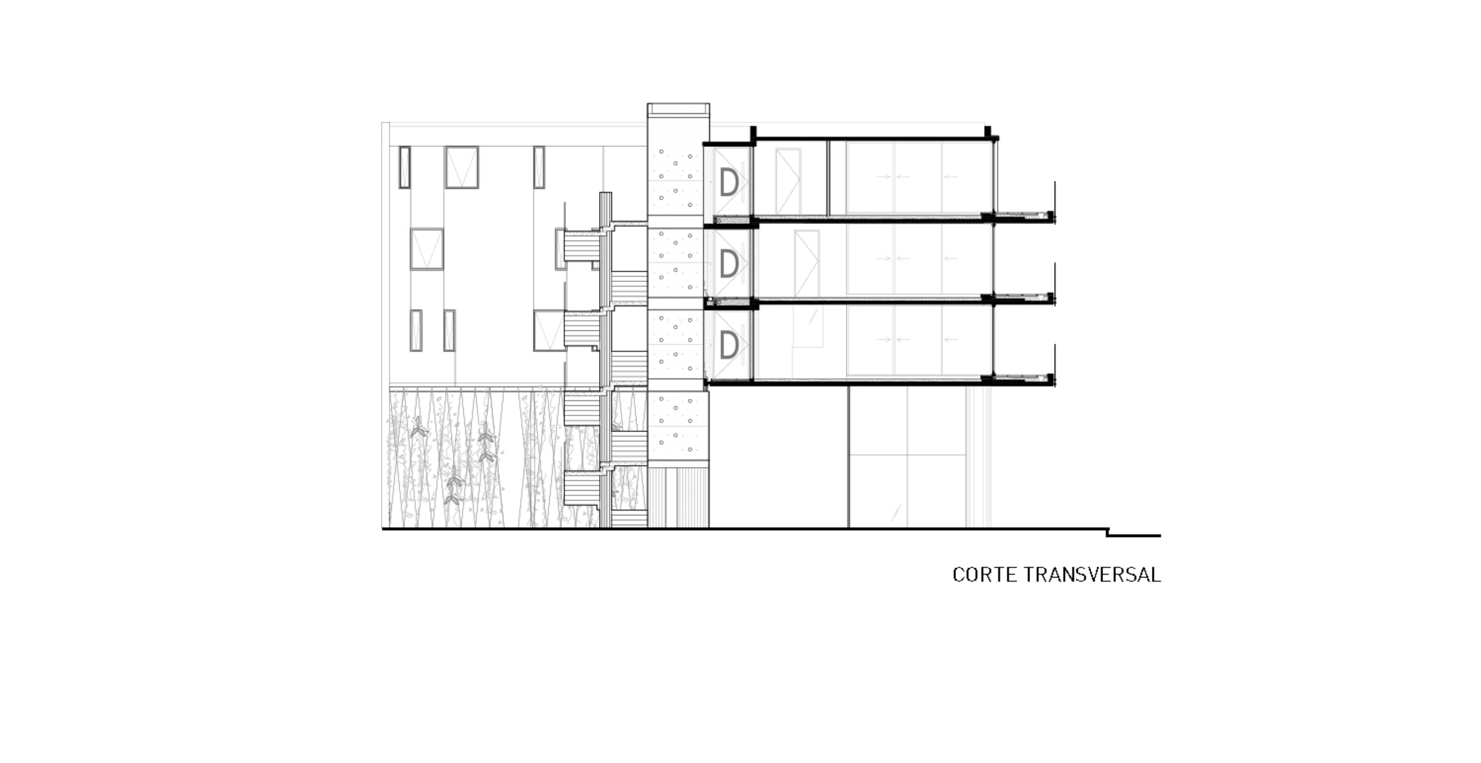 Corte transversal