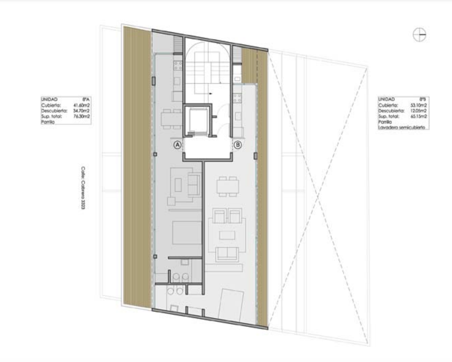 PLANTA 8