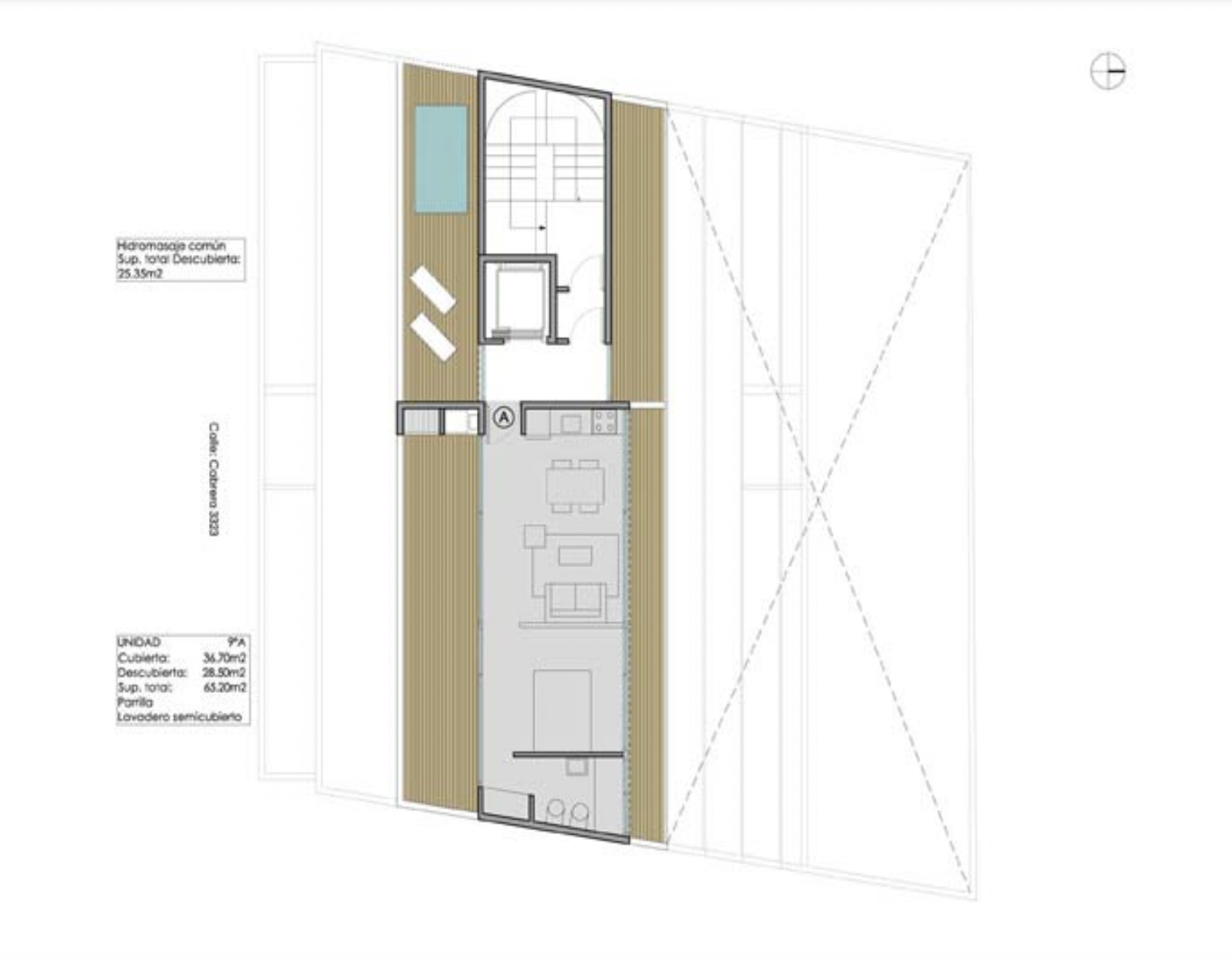 PLANTA 9